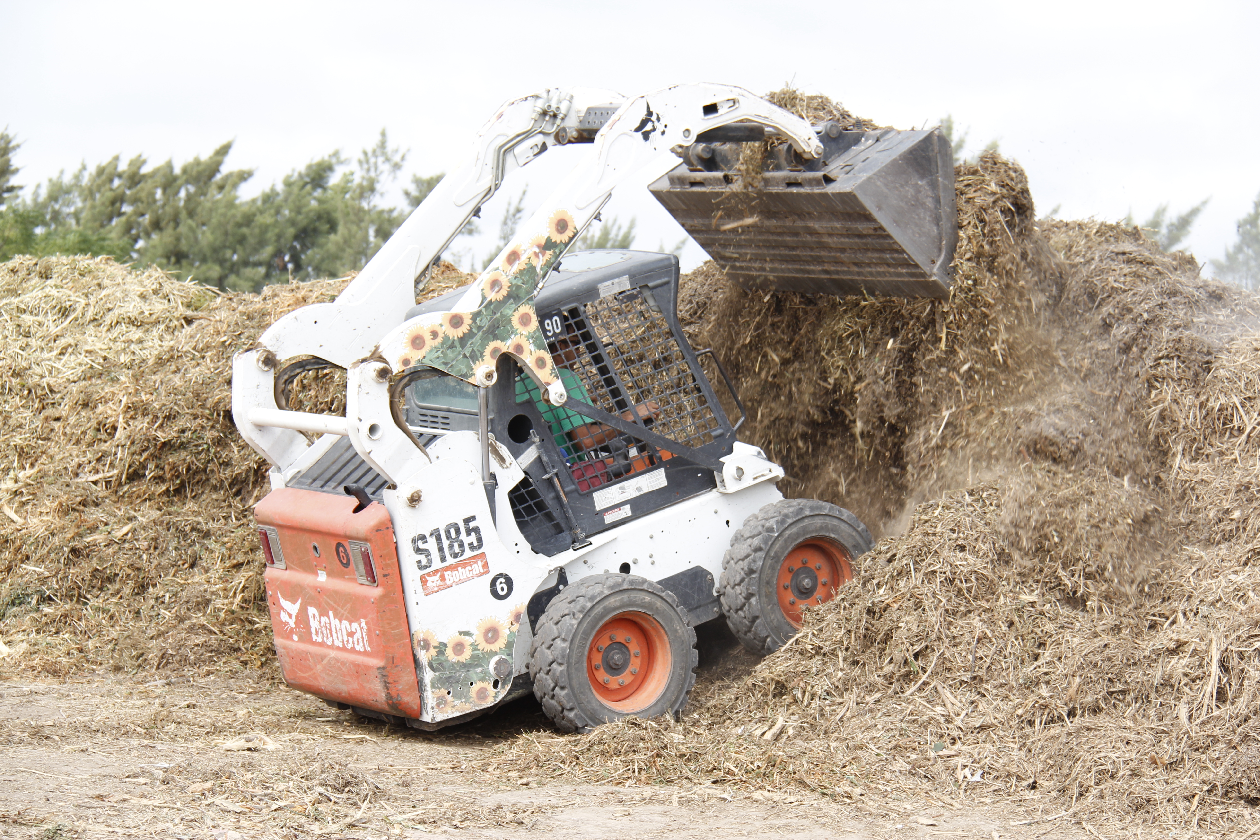 Minicargador Bobcat S185